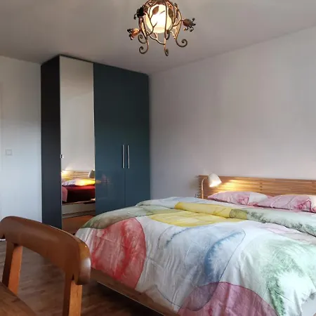 Exklusive Fuer 8 Personen Mit 4 Schlafzimmern, Esc Basel 50 Minuten, Waldshut-Tiengen