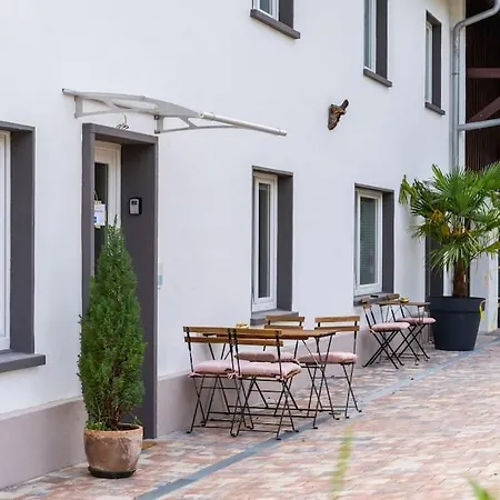 Exklusive Fuer 8 Personen Mit 4 Schlafzimmern, Esc Basel 50 Minuten, Apartment