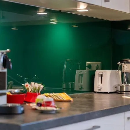 Apartment Exklusive Fuer 8 Personen Mit 4 Schlafzimmern, Esc Basel 50 Minuten, *