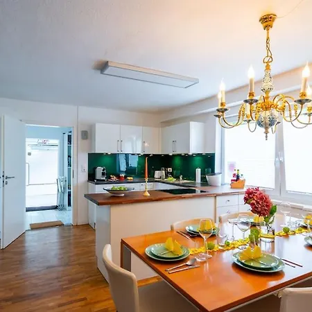 Exklusive Fuer 8 Personen Mit 4 Schlafzimmern, Esc Basel 50 Minuten, Apartment