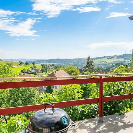 Exklusive Fuer 8 Personen Mit 4 Schlafzimmern, Esc Basel 50 Minuten, Apartment